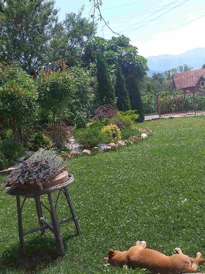 Villa Silva Ohrid Exteriör bild
