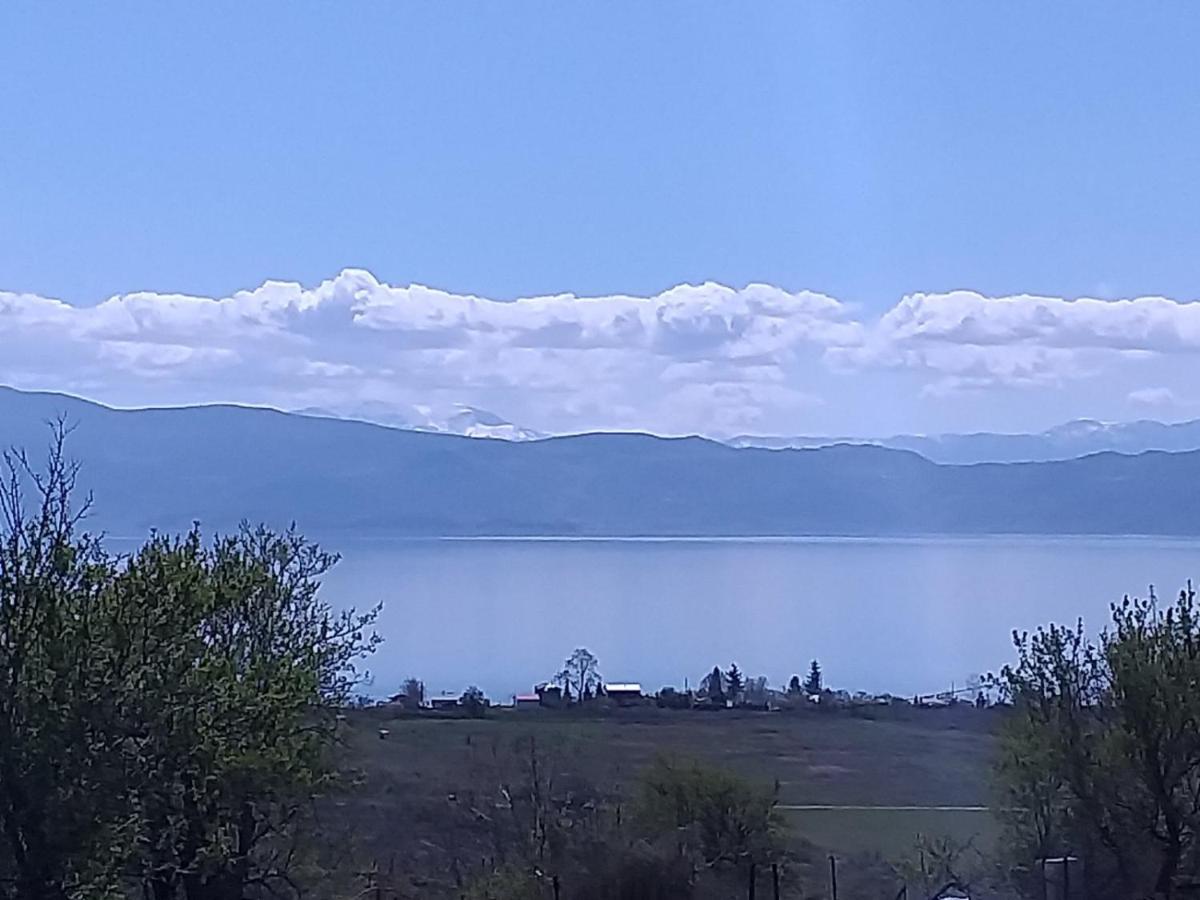 Villa Silva Ohrid Exteriör bild