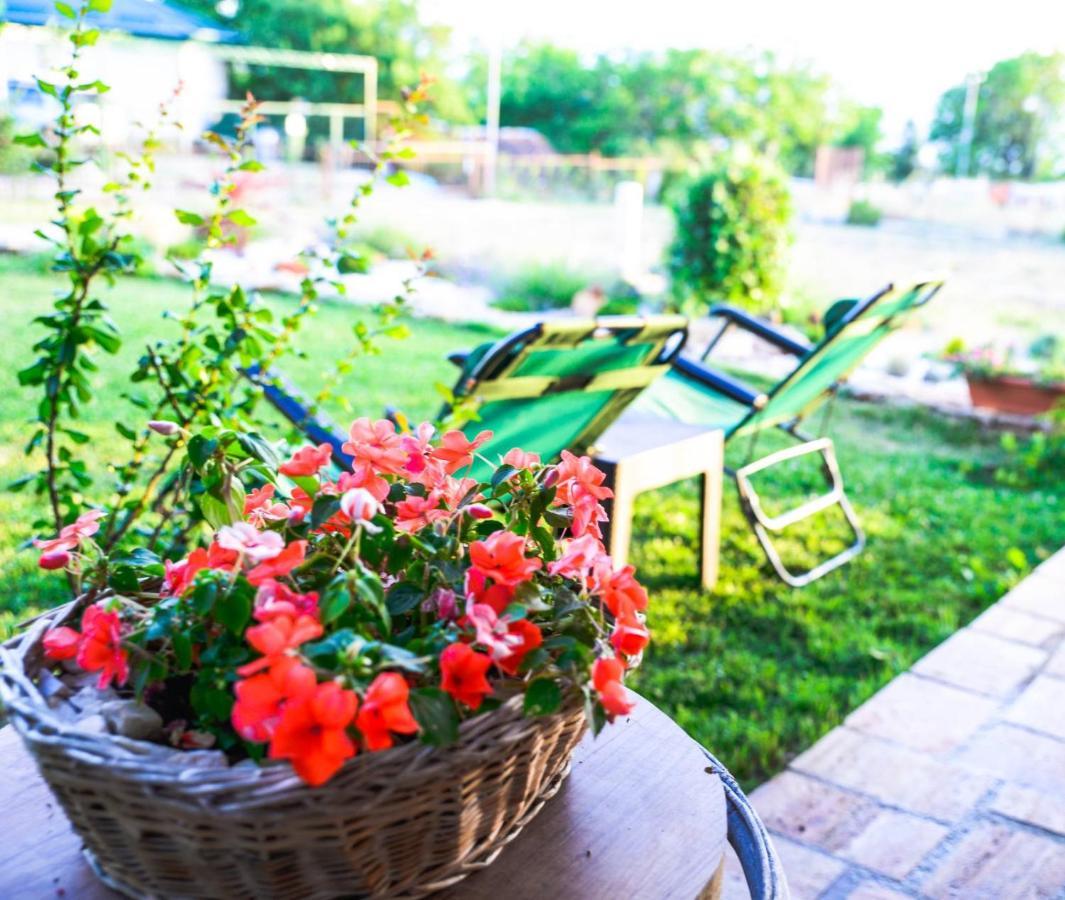 Villa Silva Ohrid Exteriör bild