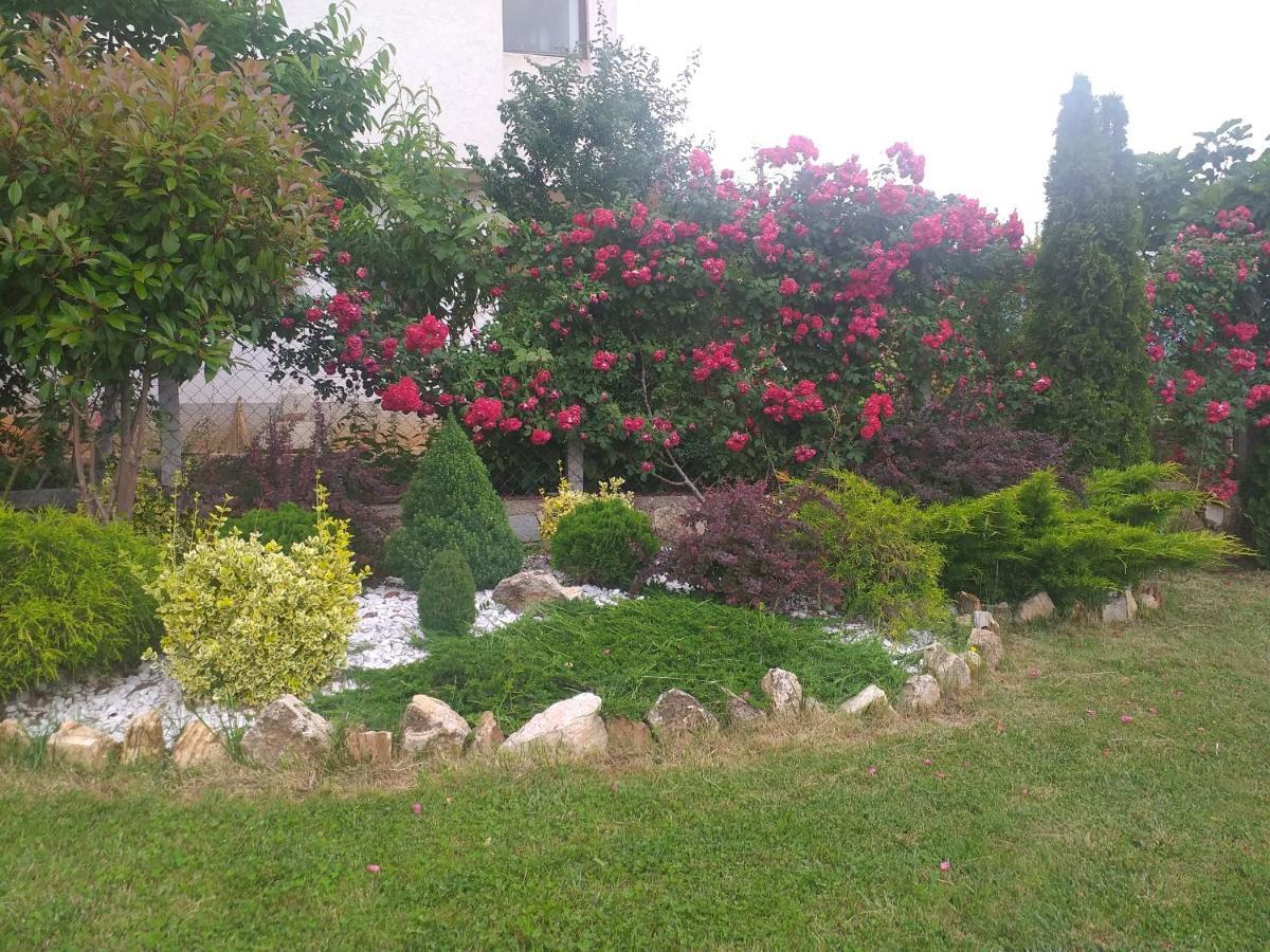 Villa Silva Ohrid Exteriör bild