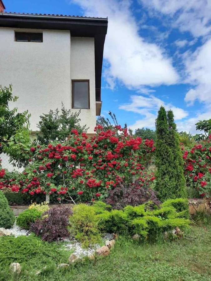 Villa Silva Ohrid Exteriör bild
