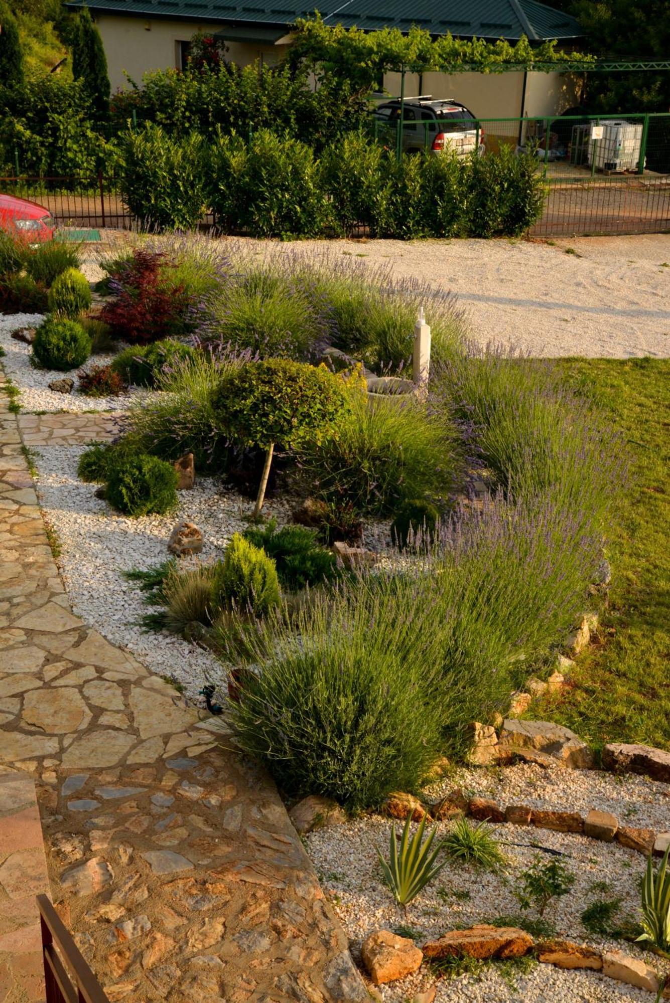 Villa Silva Ohrid Exteriör bild