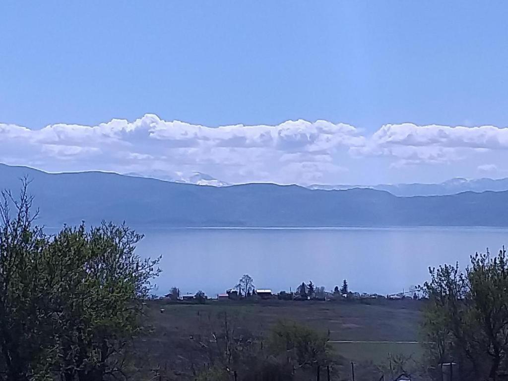 Villa Silva Ohrid Exteriör bild